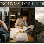 This image depicts, how effort in different scenarios is crucial to get great results